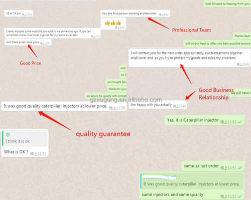 VOE20929906 Common Rail Engine Injector D16E 20929906 For EC700C